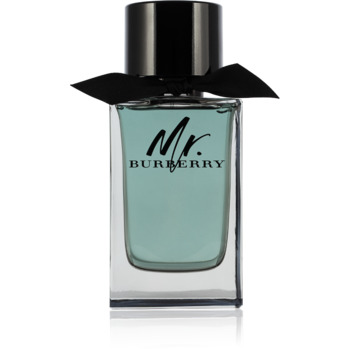 Mr. Burberry EDT